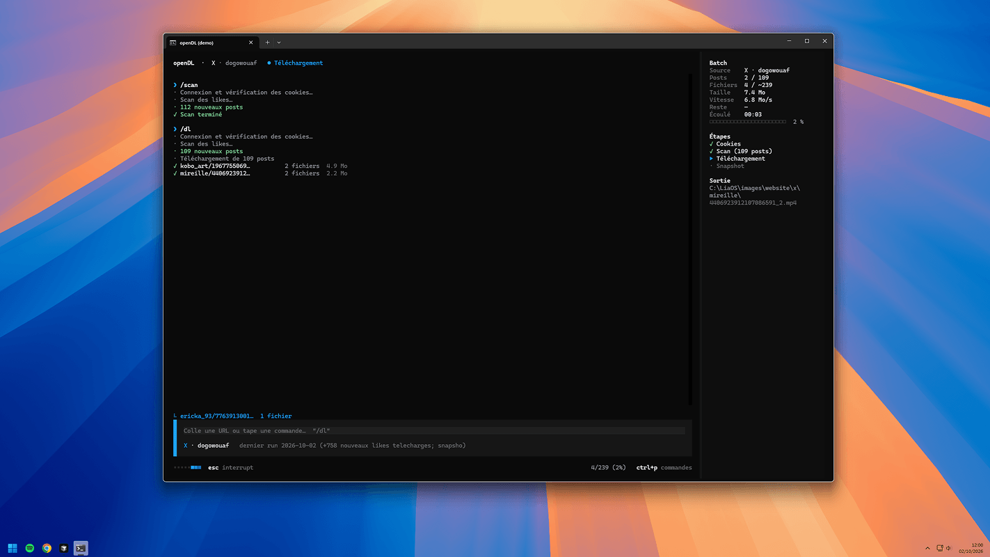 An openDL session: the history, the prompt bar and the side panel (3/5)