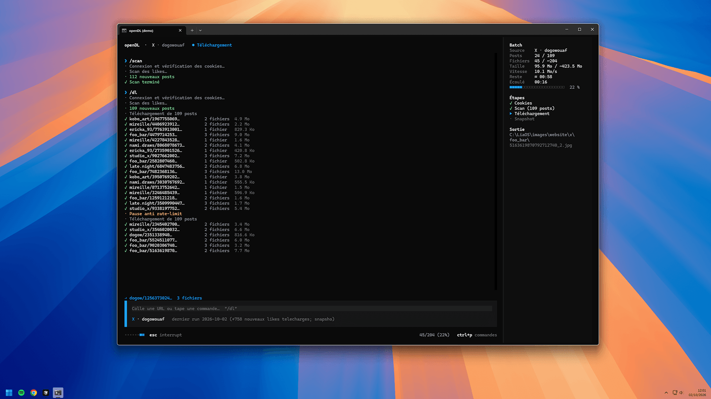 An openDL session: the history, the prompt bar and the side panel (4/5)